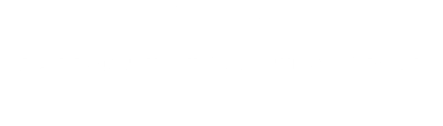 RA Productivity Solutions Group